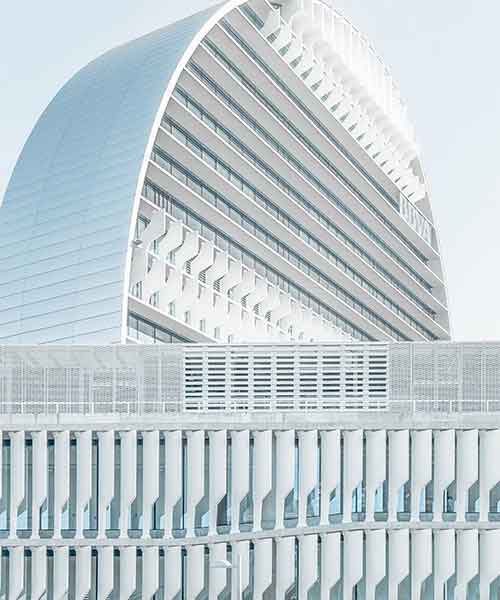 Trivex Consultancy