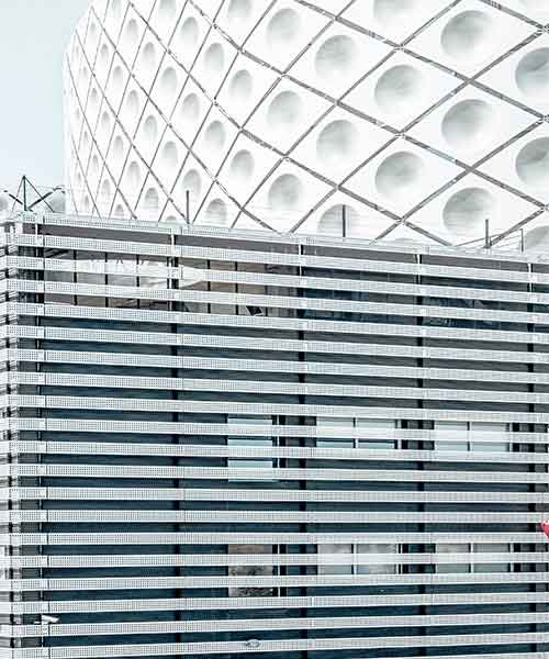 Trivex Consultancy